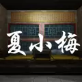 孙美琪疑案夏小梅完整版